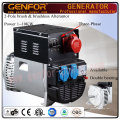 Italy Technology Brushless Alternator with Capacitor 1-8kVA